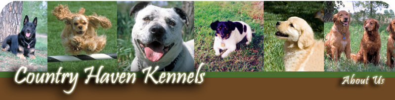 Country Haven Kennels Dog Boarding & Day Care