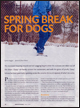 Dogs In Canada Magazine March 2008