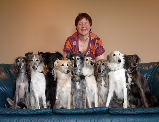 Tracey Jarrett Dog Care